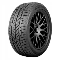 225/60R17 opona PAXARO INVERNO SUV XL FR 103H